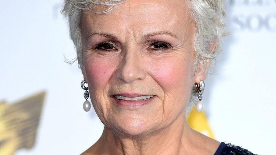 Book Julie Walters for any commercial project at Useful Talent